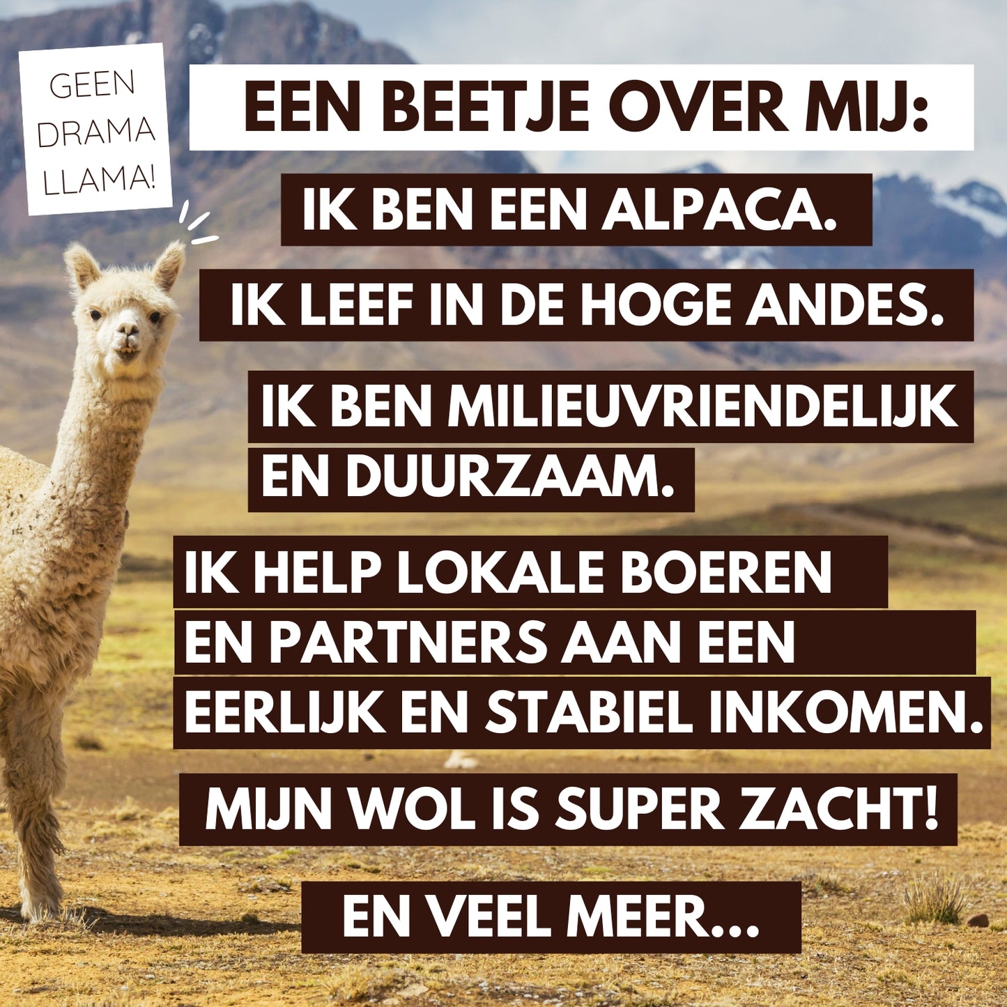 Inkari Alpaka Kuscheltier Mini Naturals - Sahara