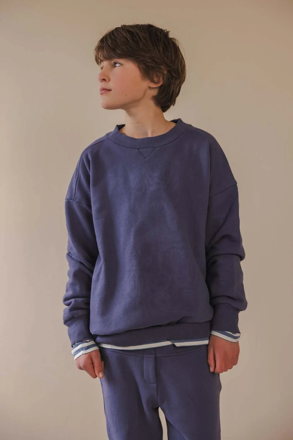 Disana Wabenpullover - Flieder
