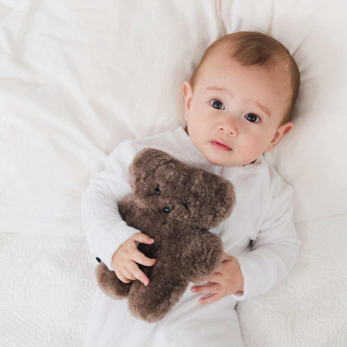 FLATOUTbear Baby - Schokolade